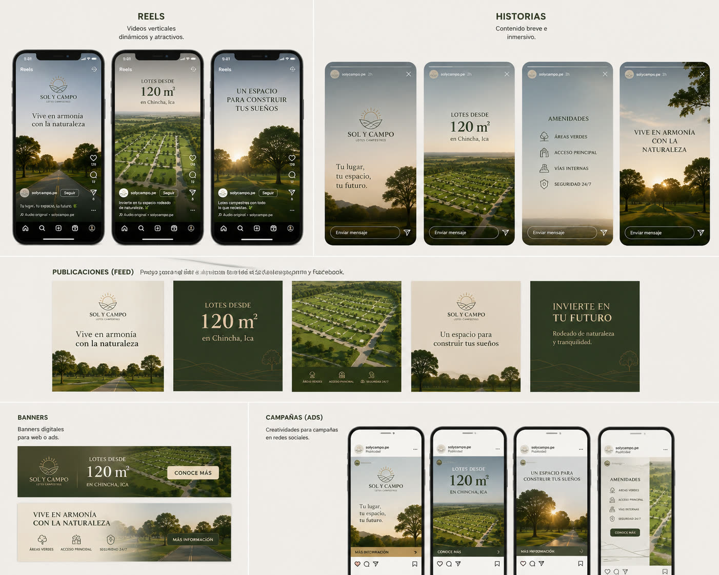 Piezas para redes sociales del proyecto Sol y Campo en distintos formatos